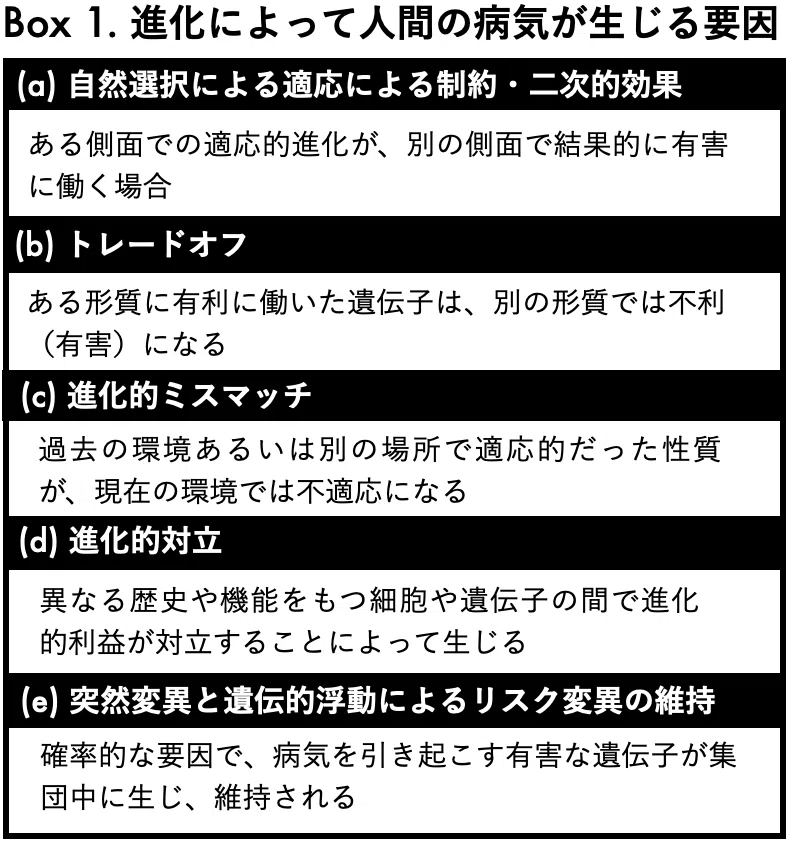 人類の進化史と病気の進化｜河田 雅圭