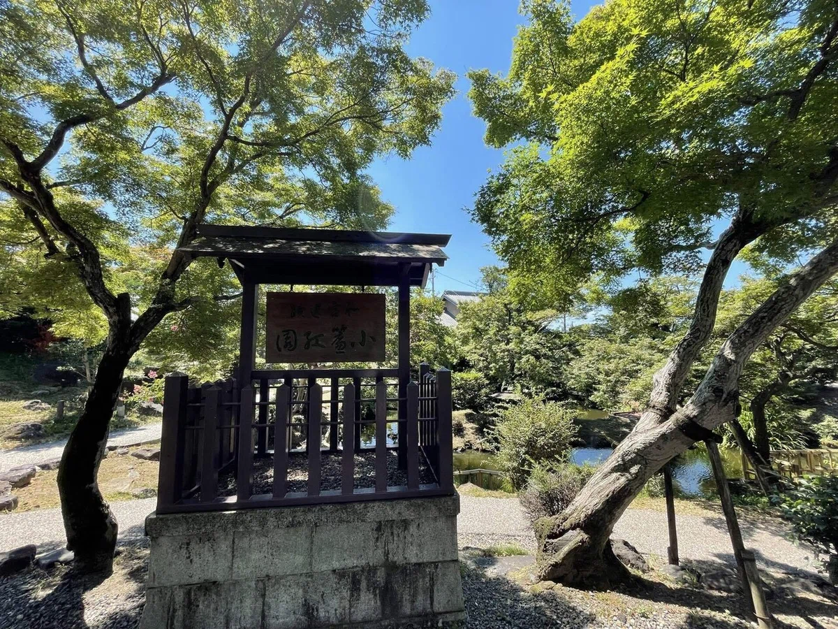 画像113