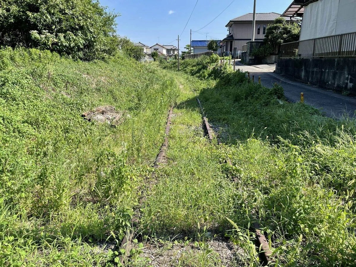 画像156
