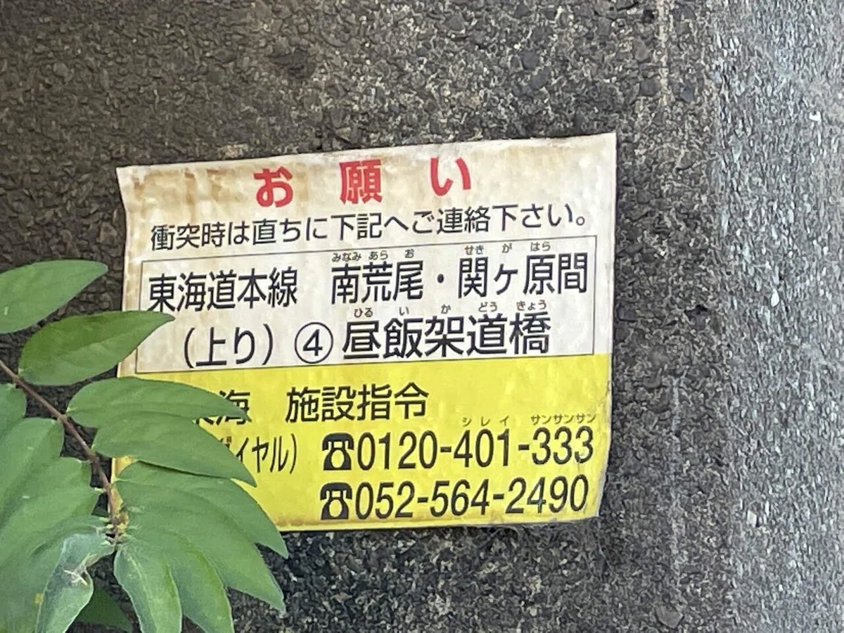 画像161