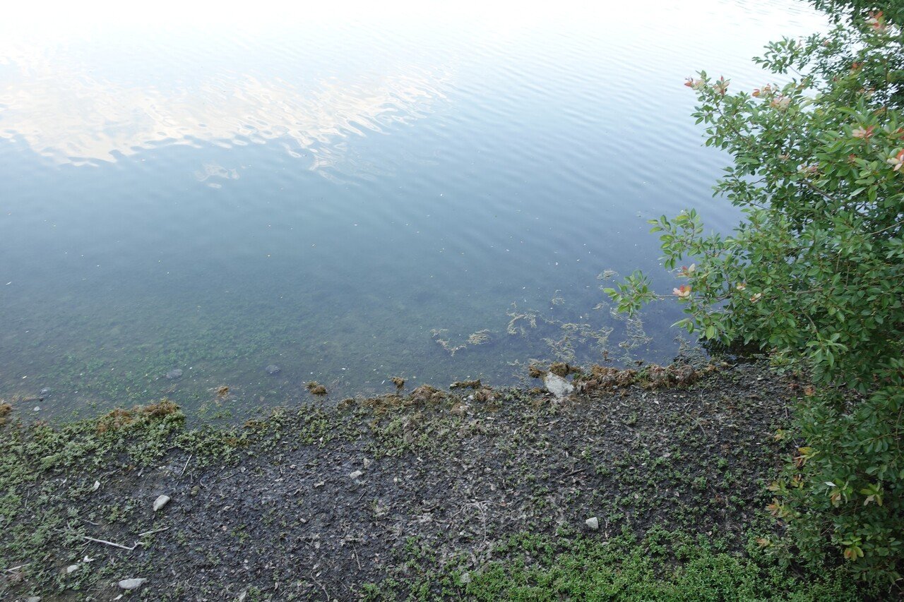 寺ヶ池鎮守と大阪府で一番深い池だという事実|南・奥河内から情報発信