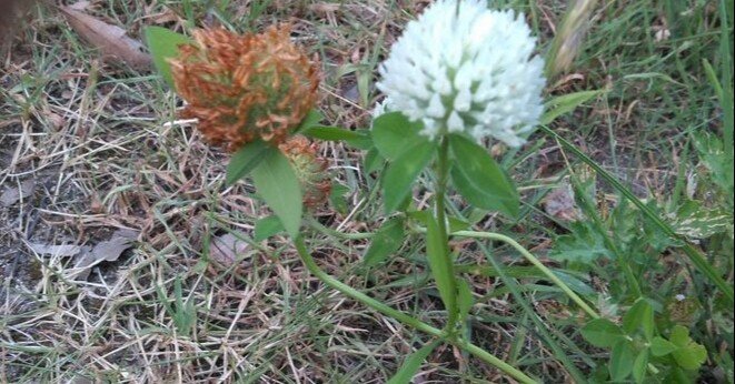 a2c369482d049fbd2a2690cfeb0fdd