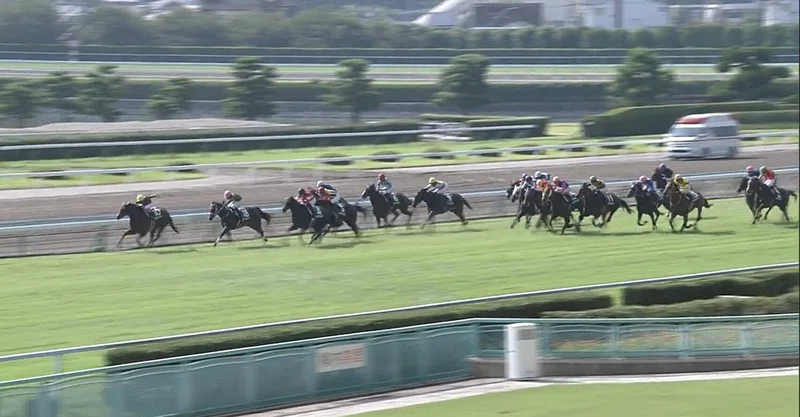 第56回テレビ西日本賞北九州記念 昨年のレースから考えること Toshin Note