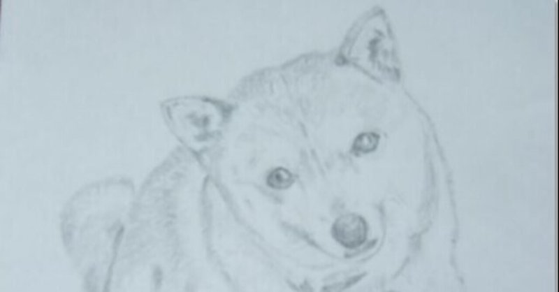 鉛筆画 昔飼っていた犬 湊川晴斗 Note