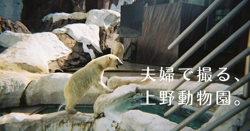 夫婦で撮る、上野動物園。