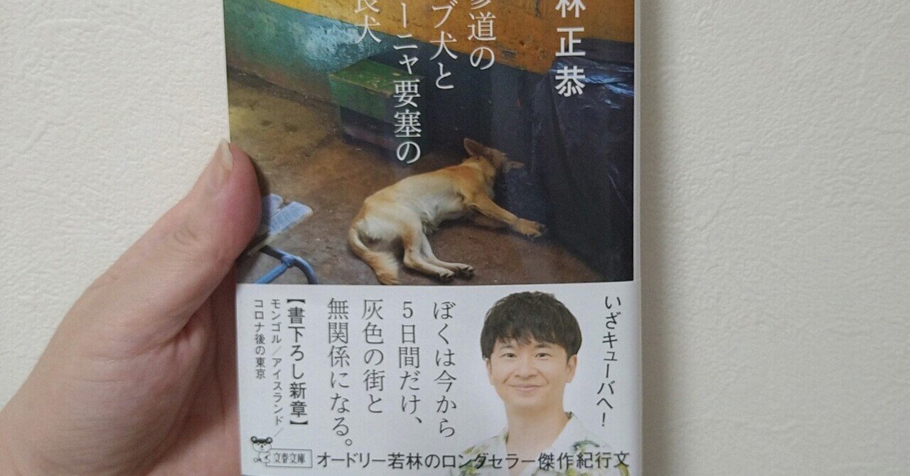 表参道のセレブ犬とカバーニャ要塞の野良犬」の人気タグ記事一覧 表参道のセレブ犬とカバーニャ要塞の野良犬」の人気タグ記事一覧