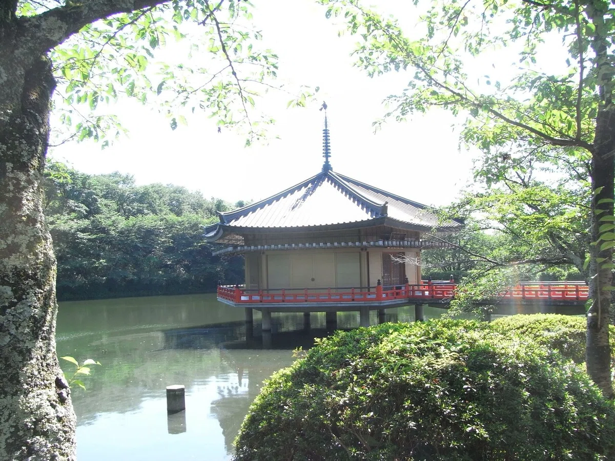 画像5