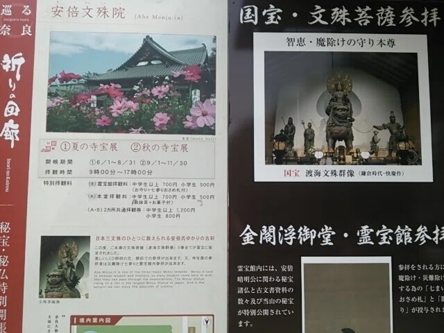 画像7