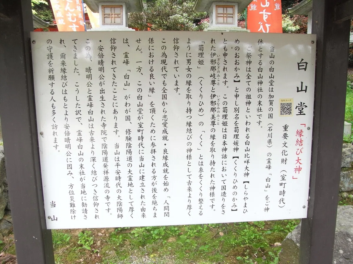 画像12