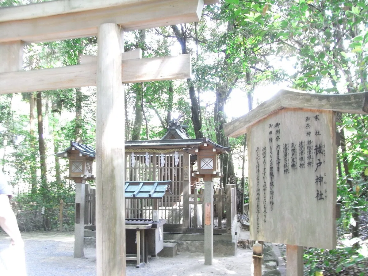 画像1