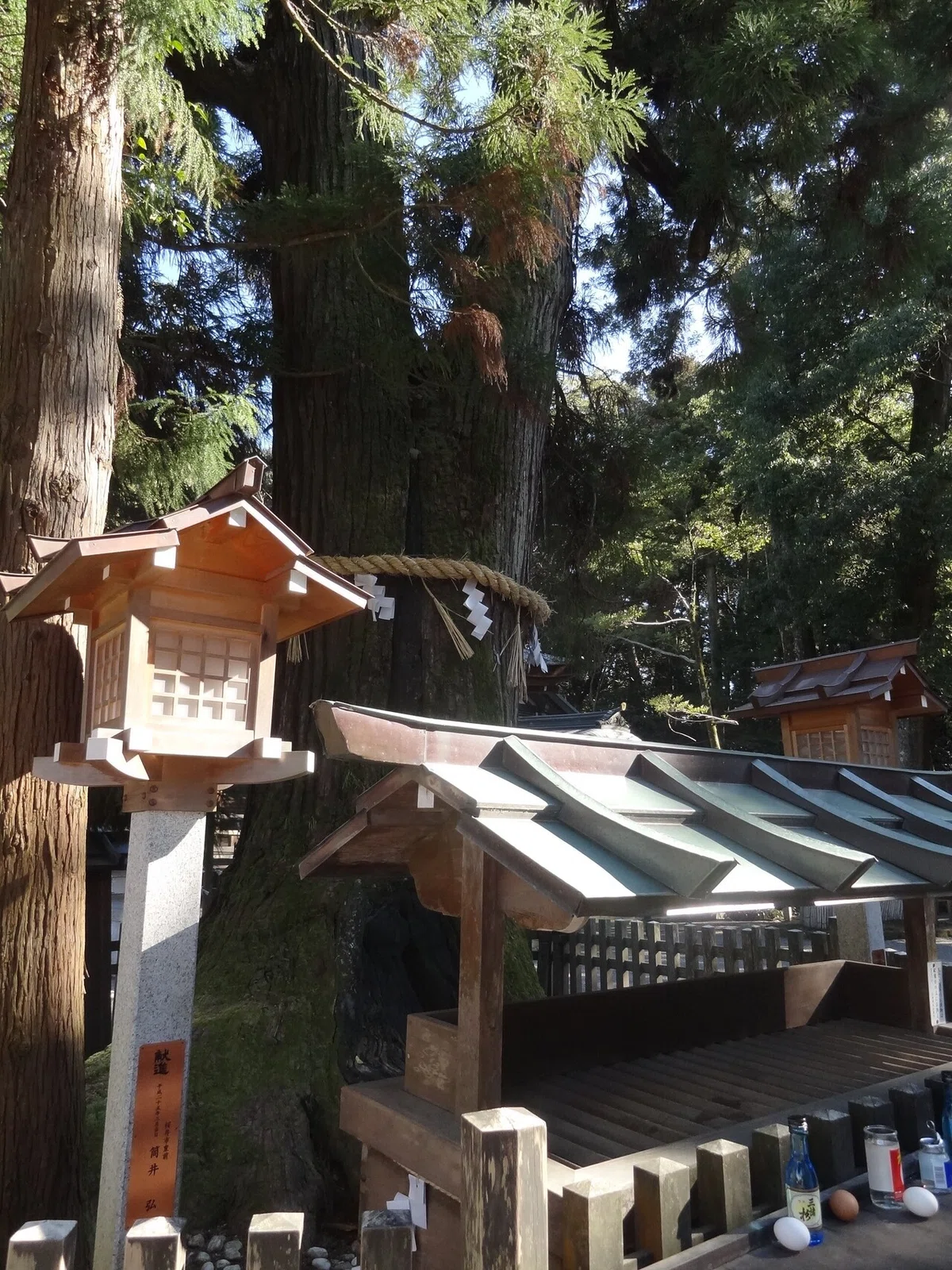 画像16