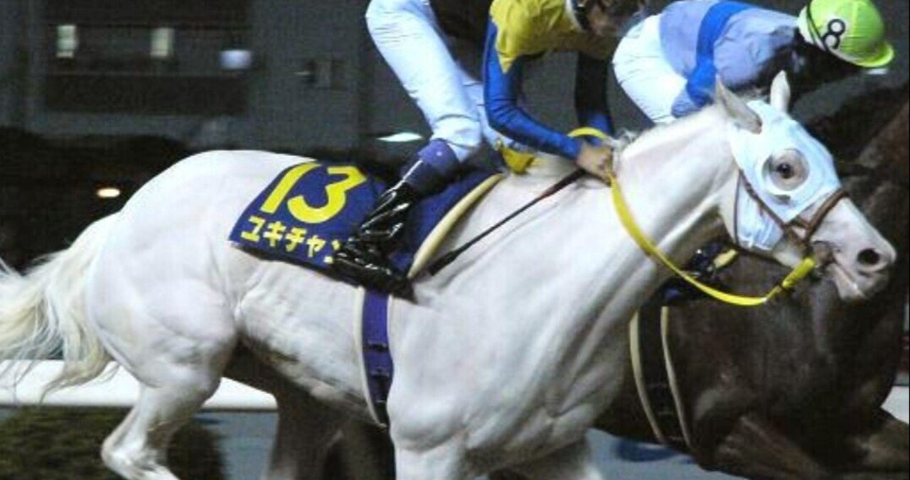 期限切れがんばれ馬券】 新馬競走 2007 ユキチャン 期限切れがんばれ