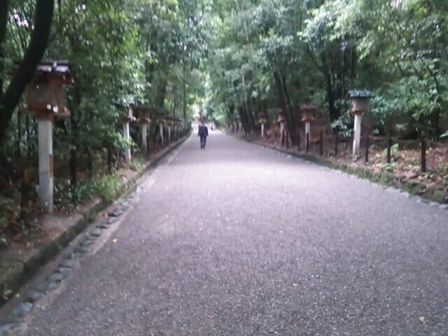画像24