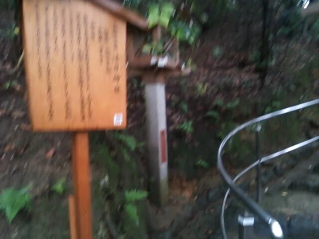 画像25