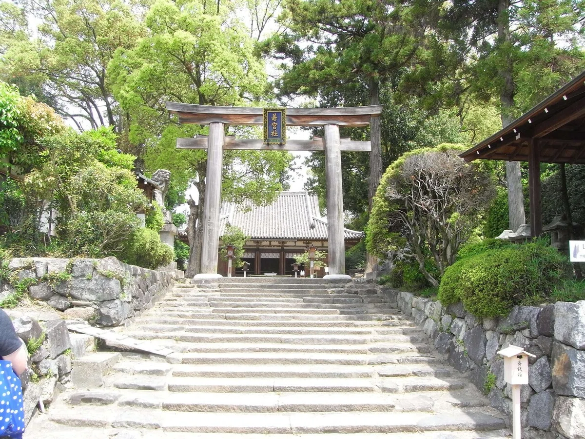 画像29