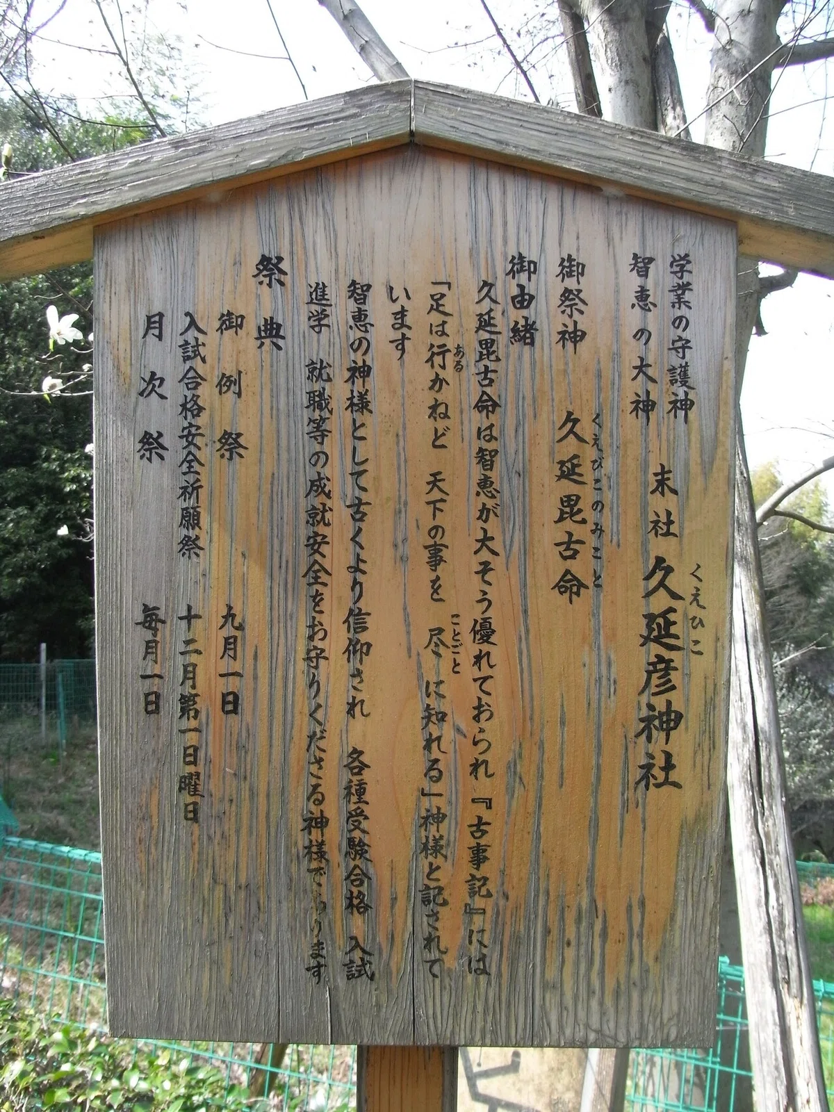画像33