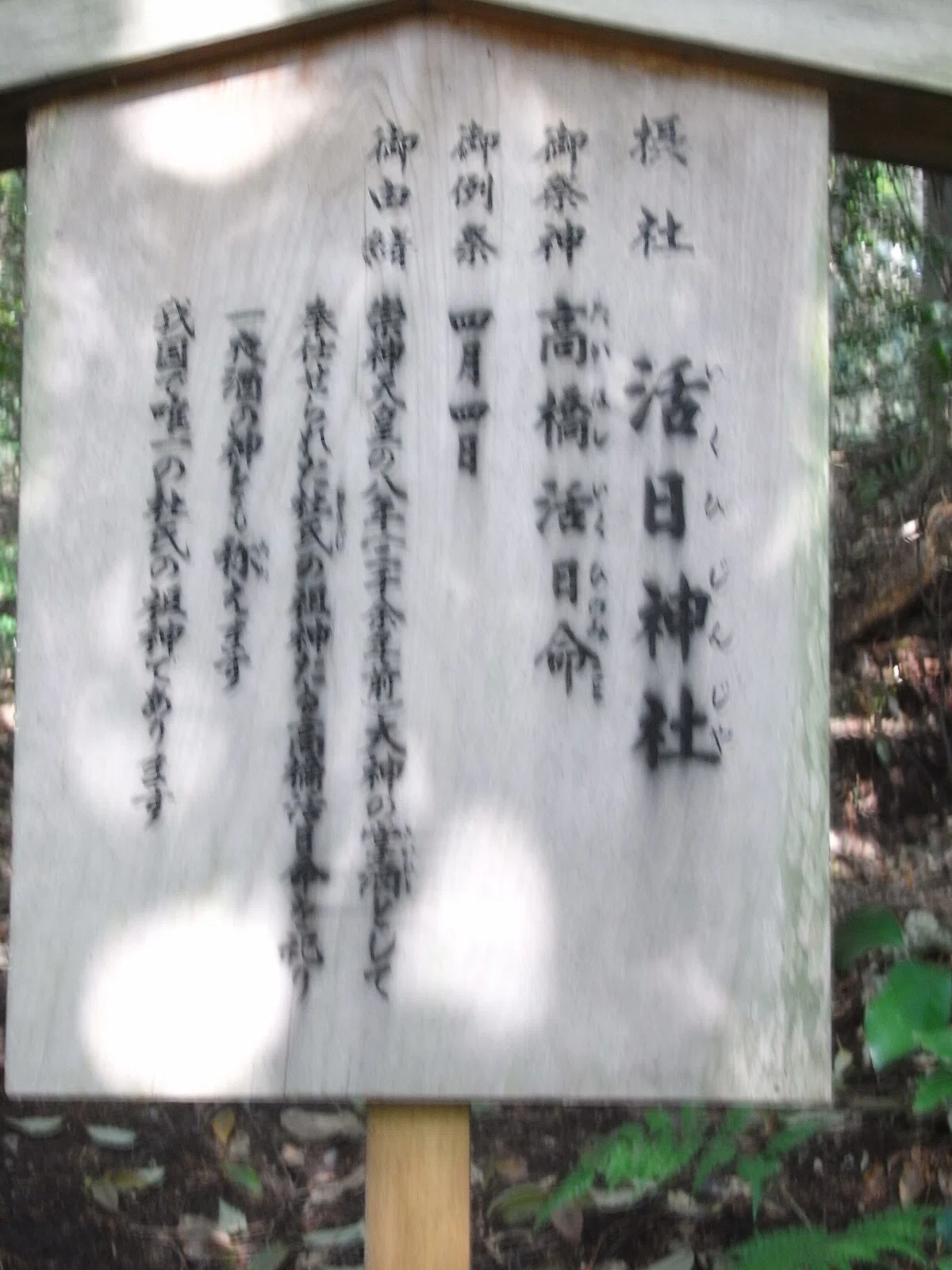画像36