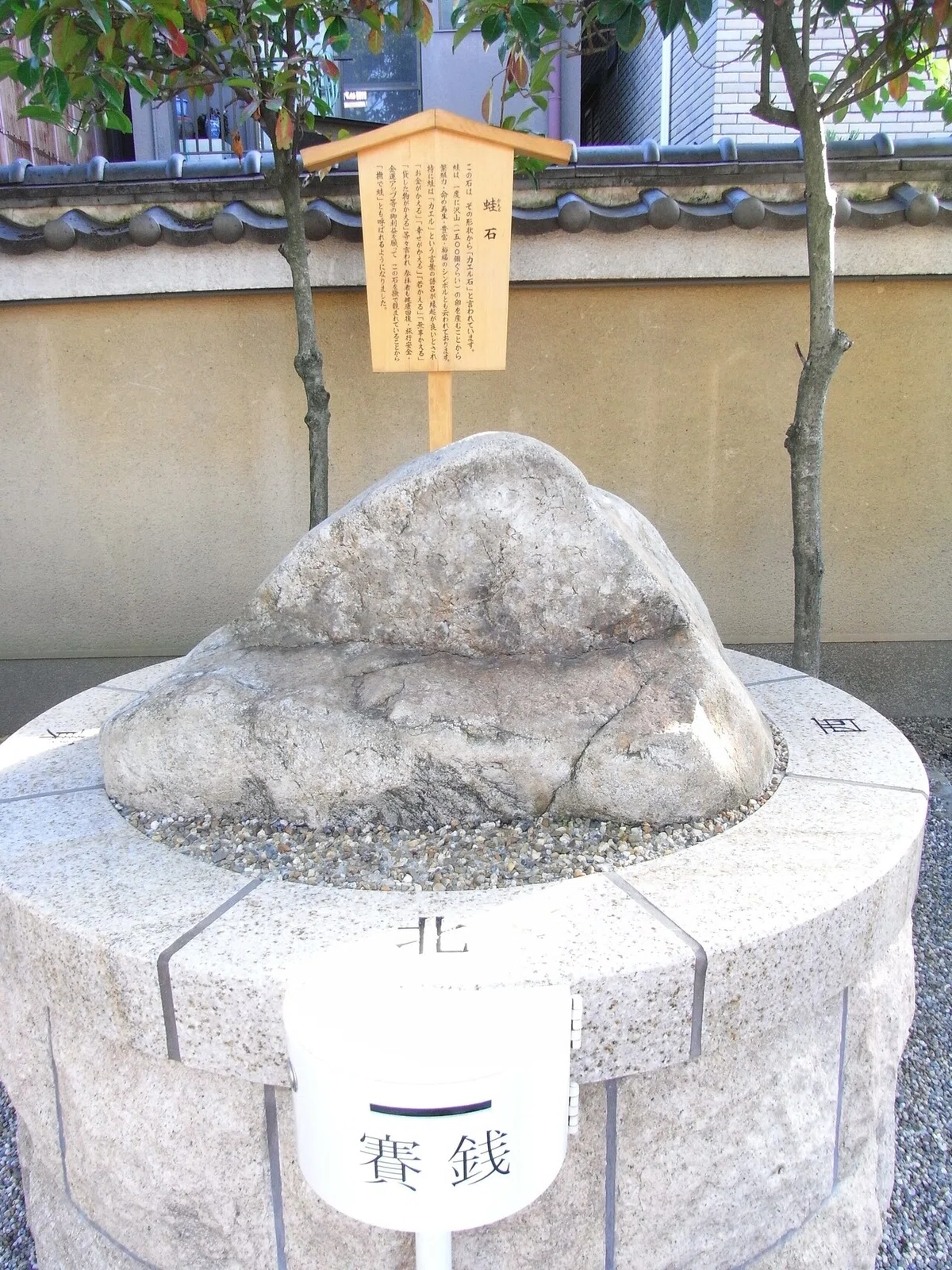 画像46