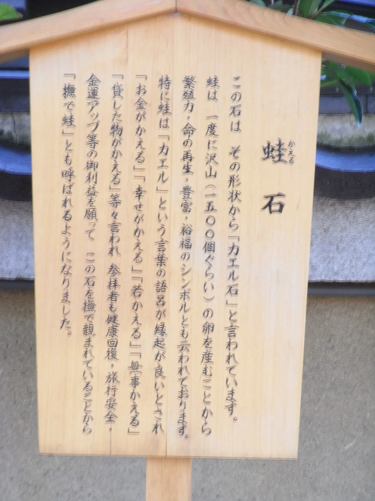 画像47