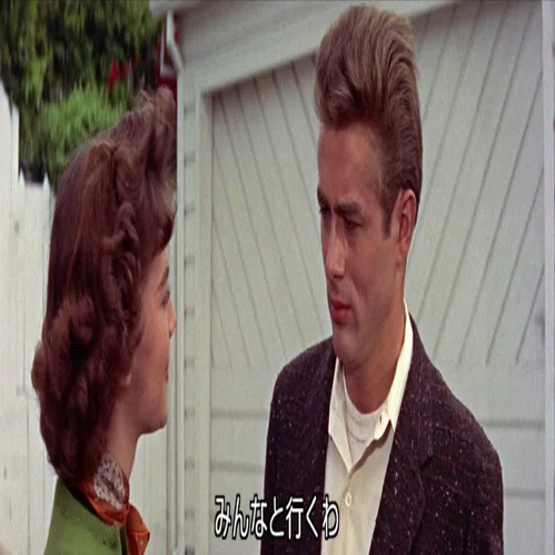 古着】映画「理由なき反抗」ジェームズ・ディーンの演技を支えた50年代 