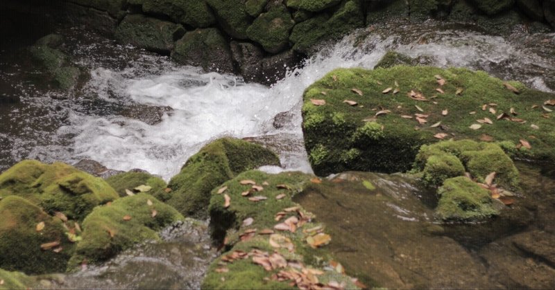 その言葉 オブラートで包む意味ありますか と言う問いかけ ゲイと女の5点マガジン Note