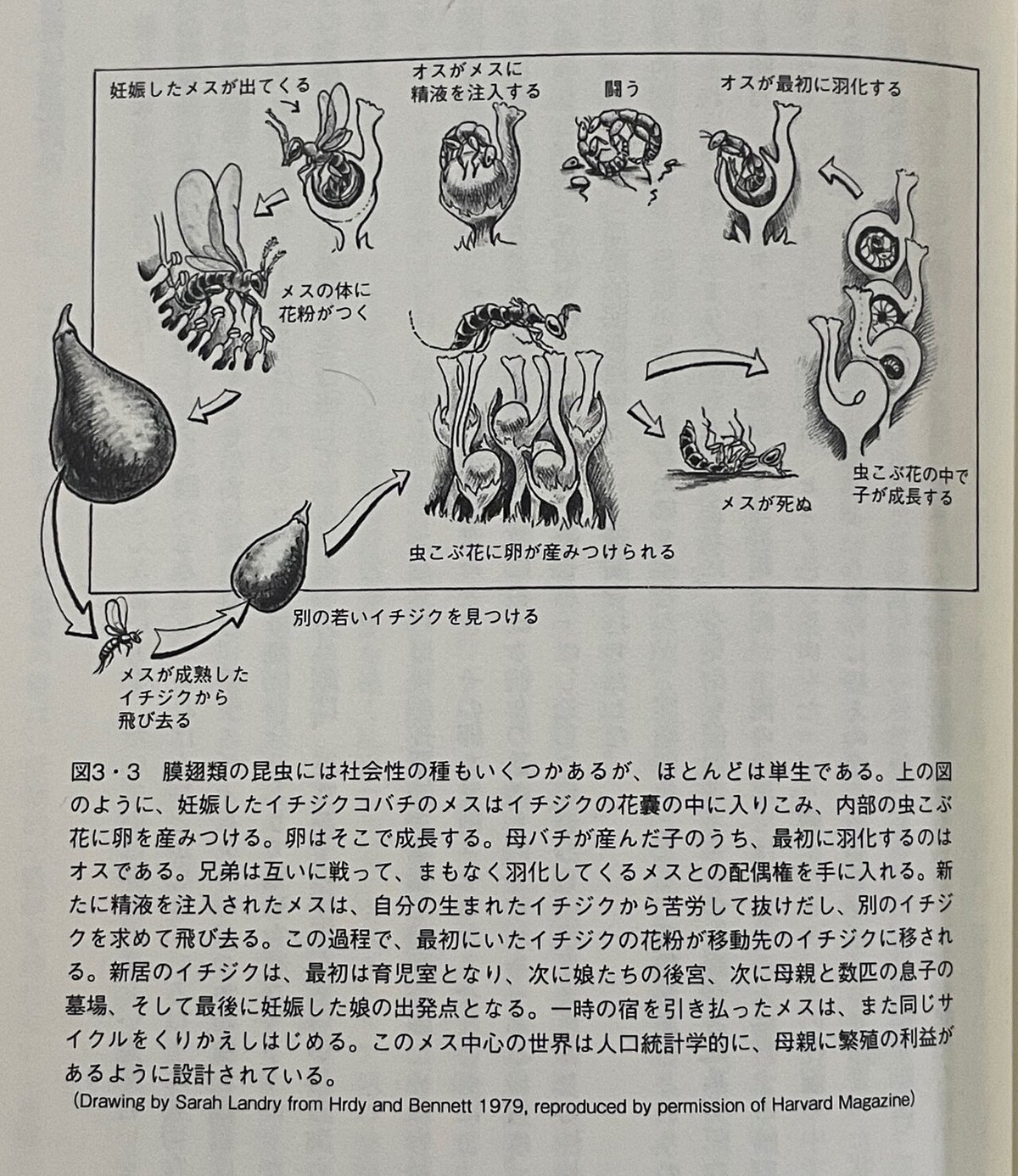 魔法少女まどか☆マギカ 再視聴 - 第10話 議論 : r/anime, image size:1200x1386