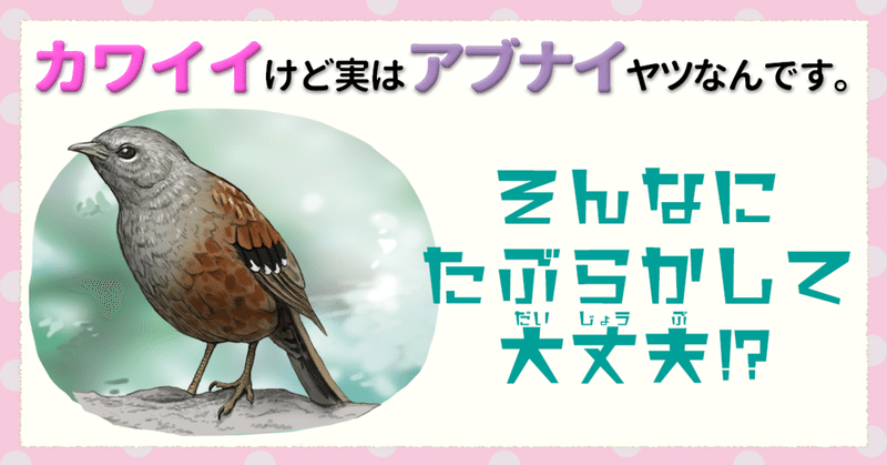 見出し画像