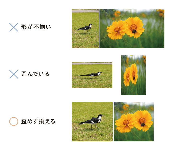 画像16