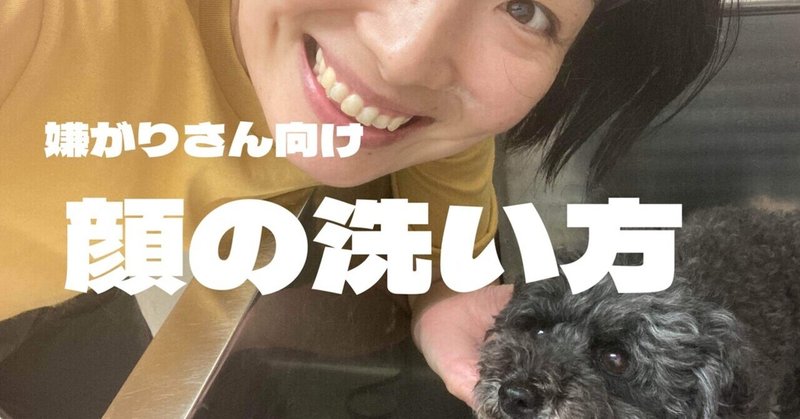 犬の洗い方 の新着タグ記事一覧 Note つくる つながる とどける 犬の洗い方 の新着タグ記事一覧 Note つくる つながる とどける
