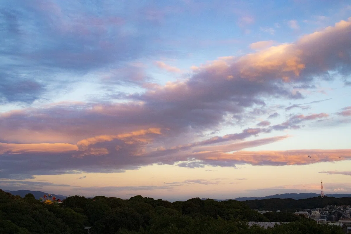 (リサイズ)20210809風景-0041(福岡市、夕方)