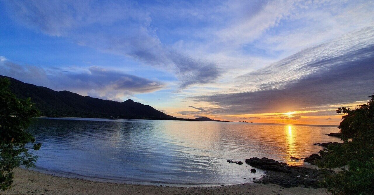 特価 琉球列島採集観察地ガイド シン 八重山諸島採集観察地ガイド 2冊