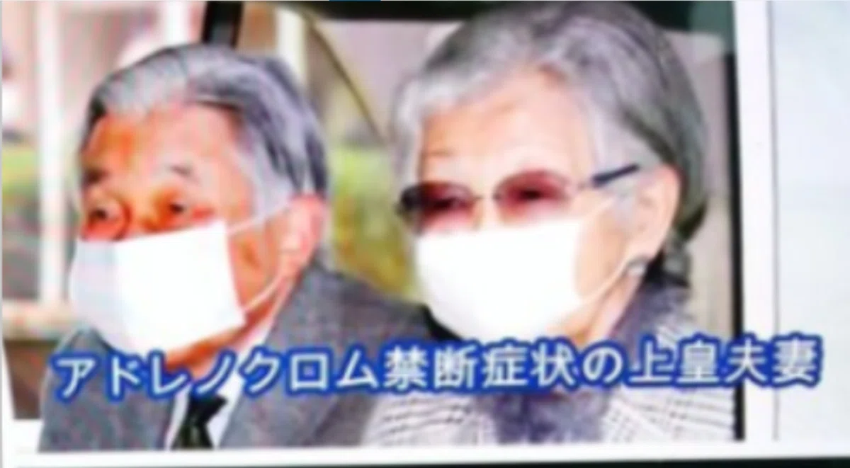 画像15