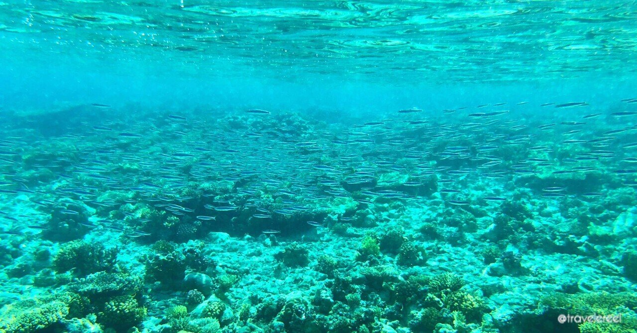 1コマ海外旅行 27 世界一綺麗な海はエジプトにある アキタ ヨウスケ 旅するちんあなご Note