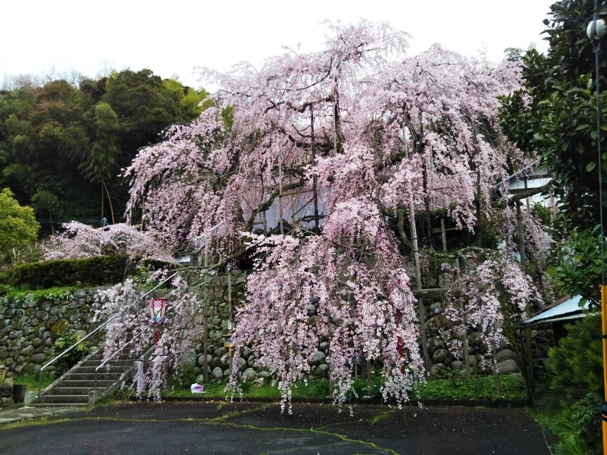 画像16