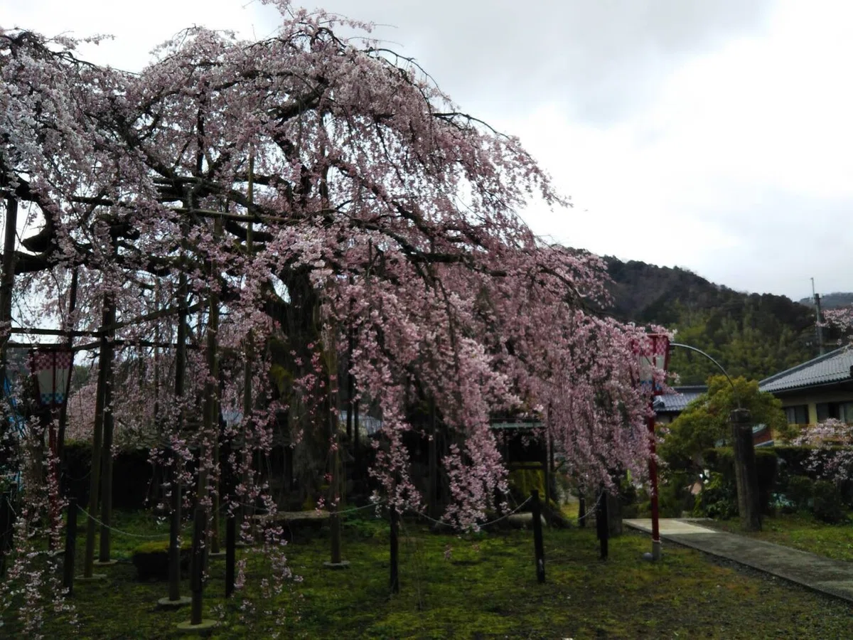 画像18