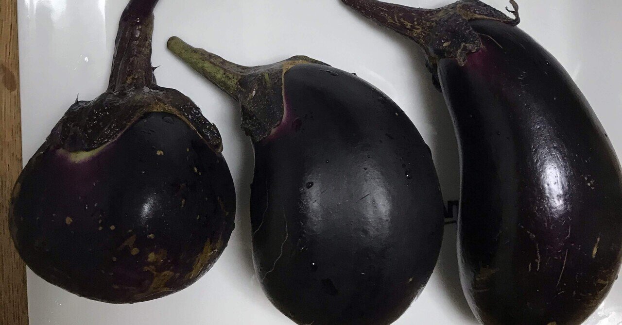 江戸東京野菜「雑司ヶ谷茄子」｜野菜と山と、時々猫