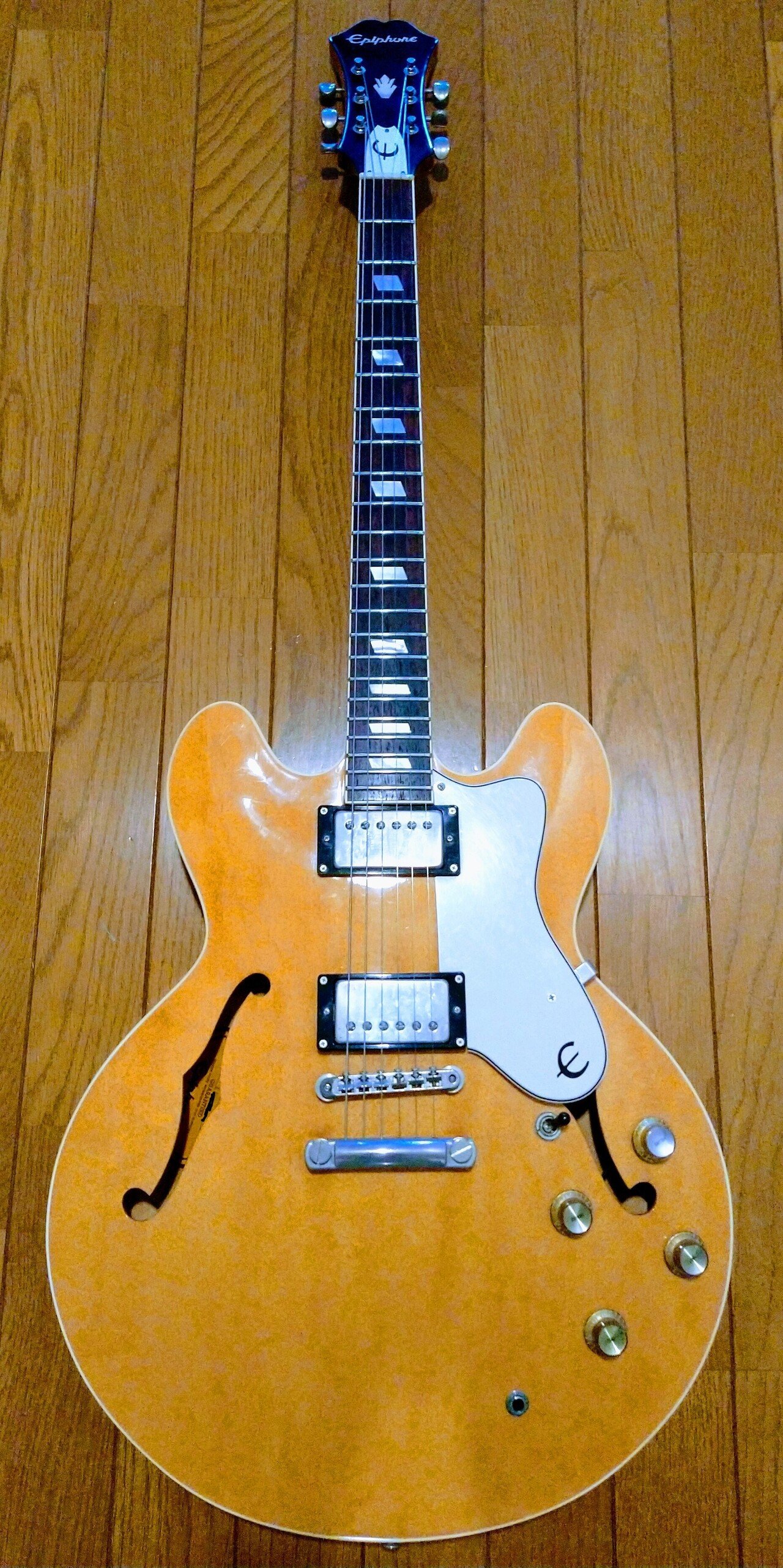 機材紹介 Epiphone Riviera|坂東太郎 機材紹介 Epiphone Riviera|坂東太郎
