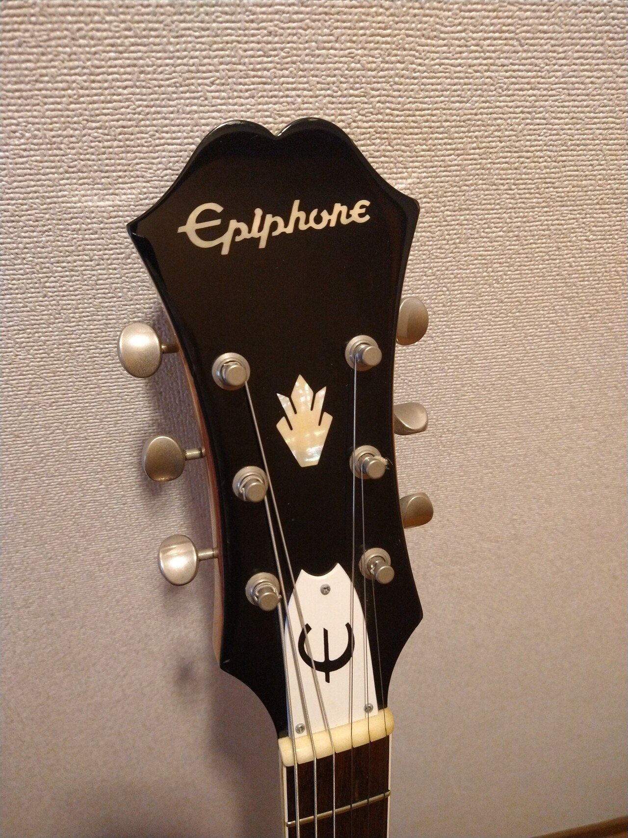 機材紹介 Epiphone Riviera｜坂東太郎