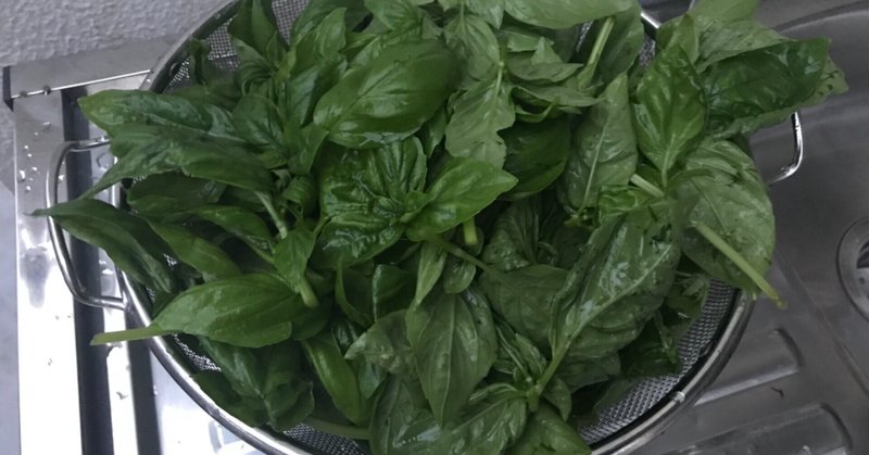 ドライハーブ の新着タグ記事一覧 Note つくる つながる とどける