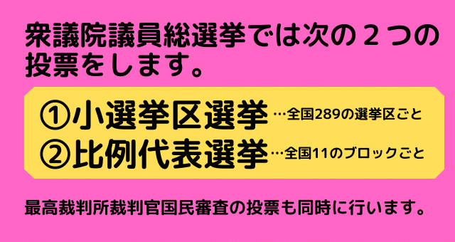 衆院選投票方法1