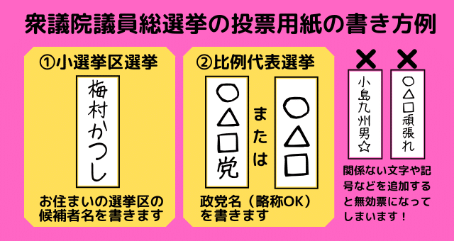 衆院選投票方法2