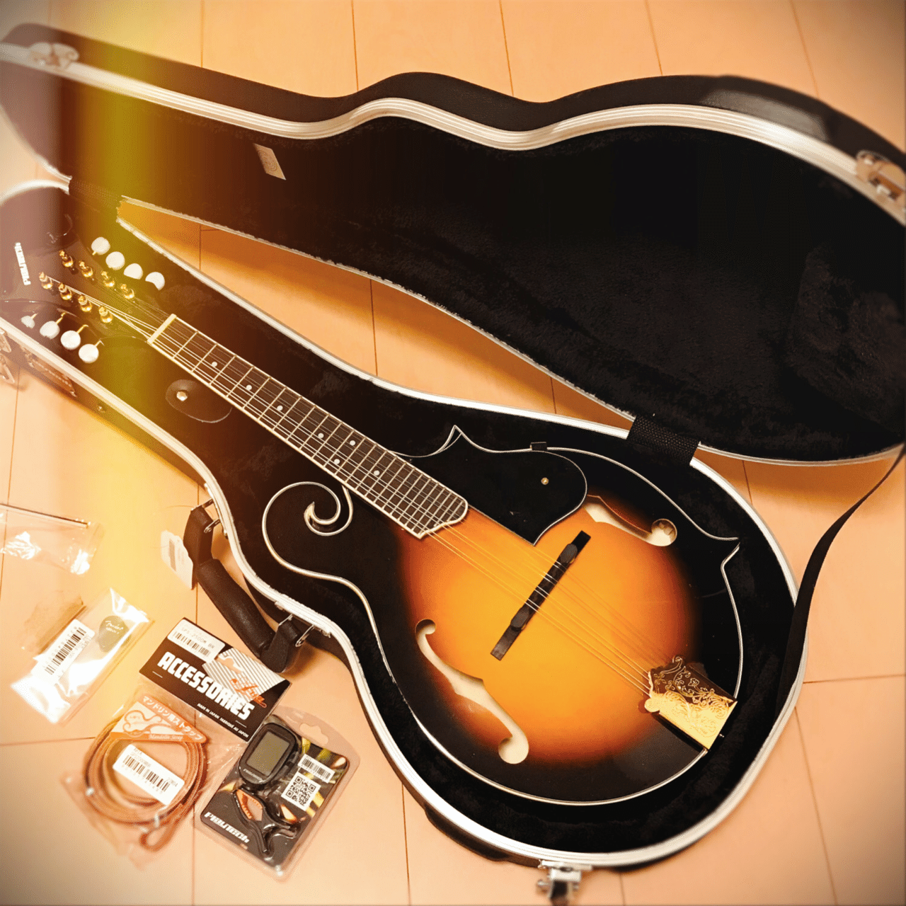 初心者がフラットマンドリンを通販で買うのはハードルが高いと思った 初心者がフラットマンドリンを通販で買うのはハードルが高いと思った