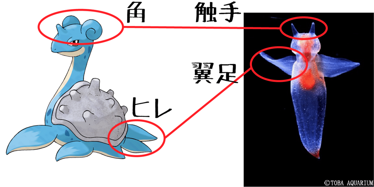 ポケモンカードラプラスHP90 初版021