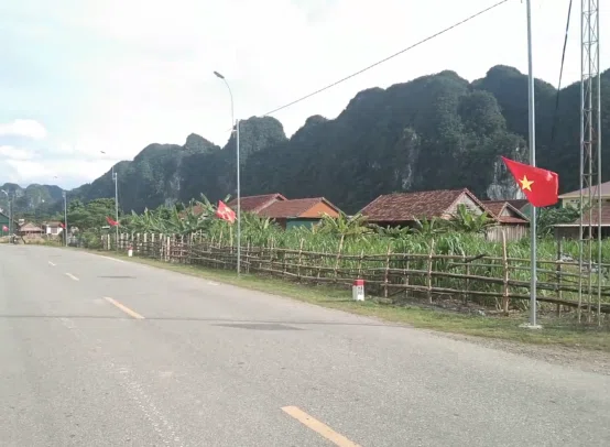 画像15