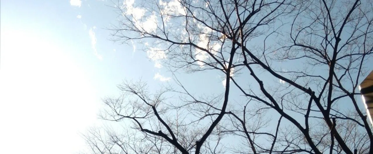 追い風と逆風は、どちらかだけになることはできない｜AsakoYamaoka