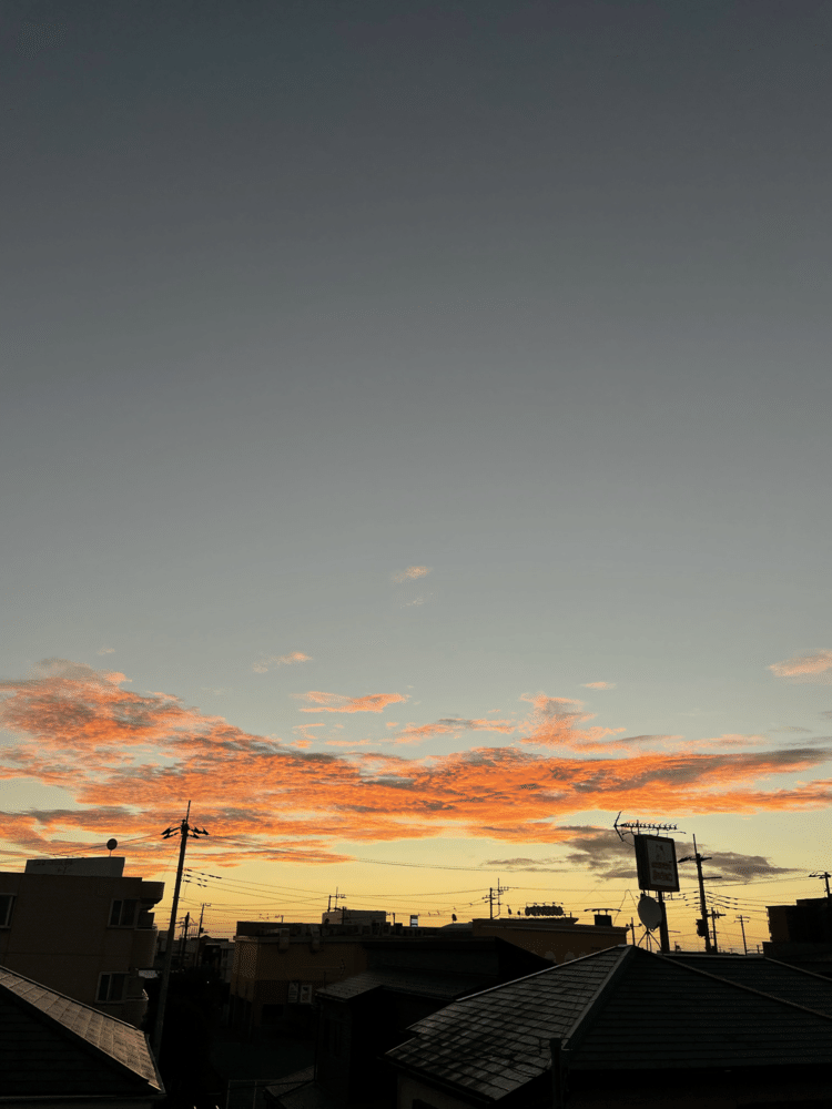 夏の朝。 気温は25℃。日が昇るのが遅くなってきました。反対側の空にデカい雲が垂れ込めていました。横浜・横須賀方面今雨らしいです。      ふと見ると、写真撮ってた私と並んでミントグリーンのイトトンボが居たんですが、ピント合わせている間に居なくなりました(>_<)横を見なければ気が付かなかったトンボの存在。今までも何度も居たのかも知れない。人生も四季に例えるなら立派に秋なんだけど、気づかない、知らない事が身近にもまだまだあるんだろうなぁ、とか思う朝焼けの日の出前。　#朝焼け　＃夏の朝　＃人生なんてきっと
