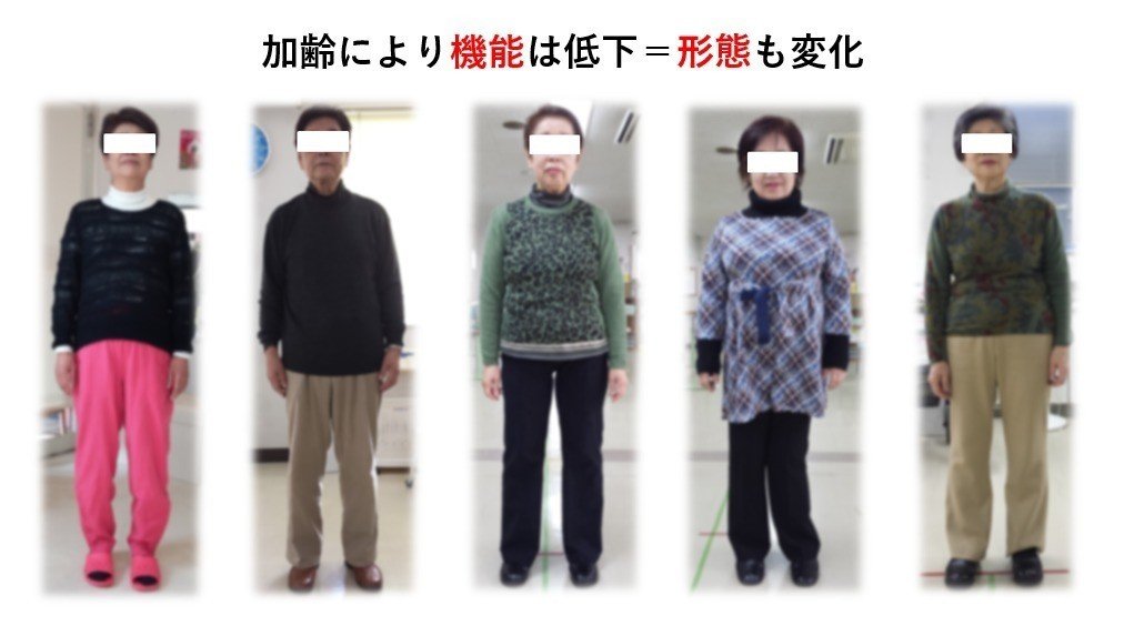 形態構築アプローチって何？｜土屋元明｜理学療法士／動きの