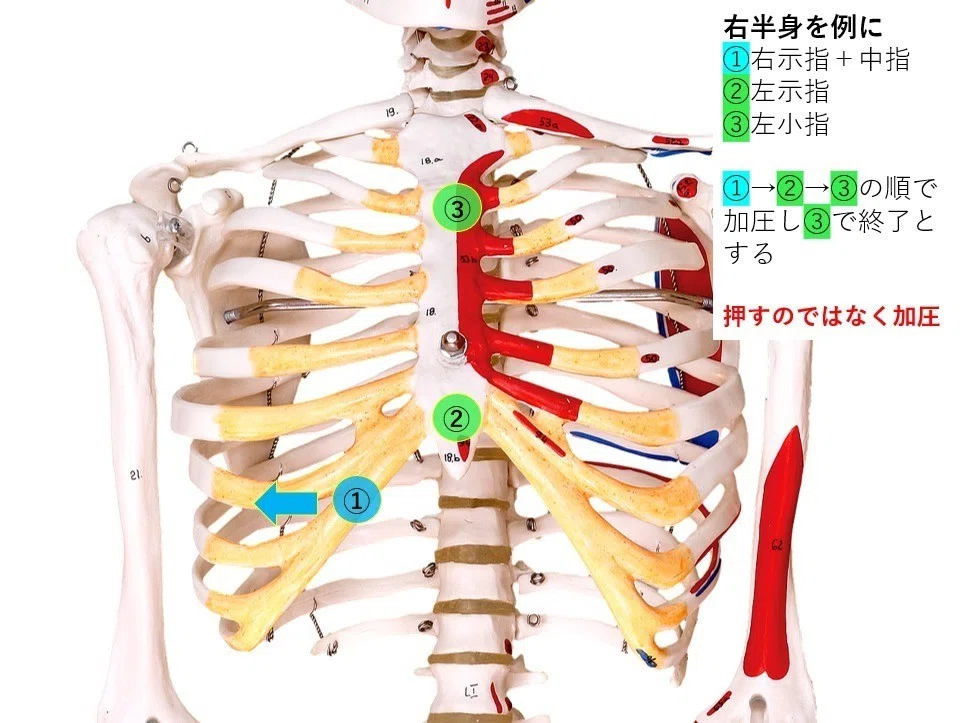 形態構築アプローチって何？｜からだ改善チャンネル