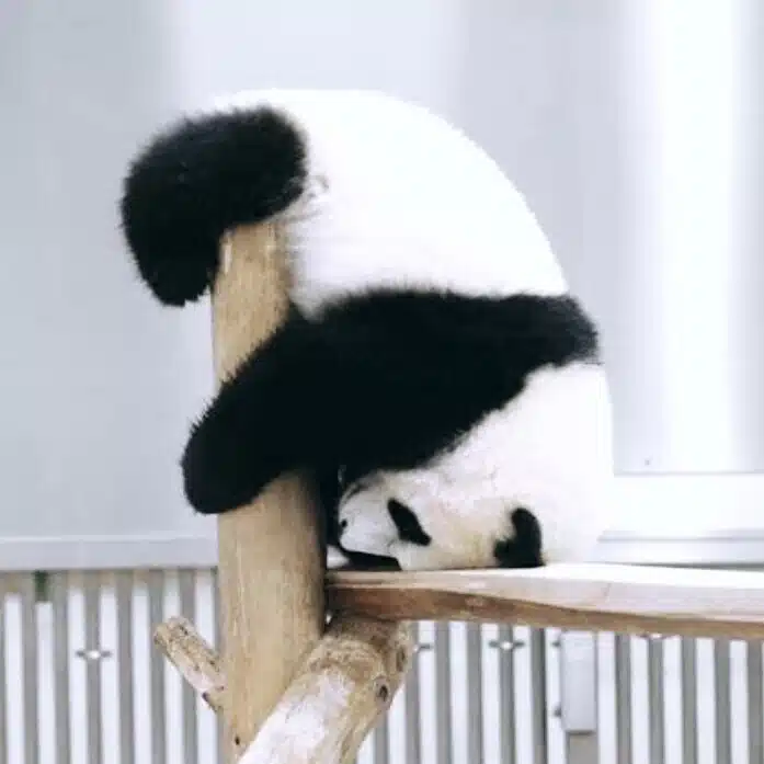 えり|ぱん(がすきなん)だ。