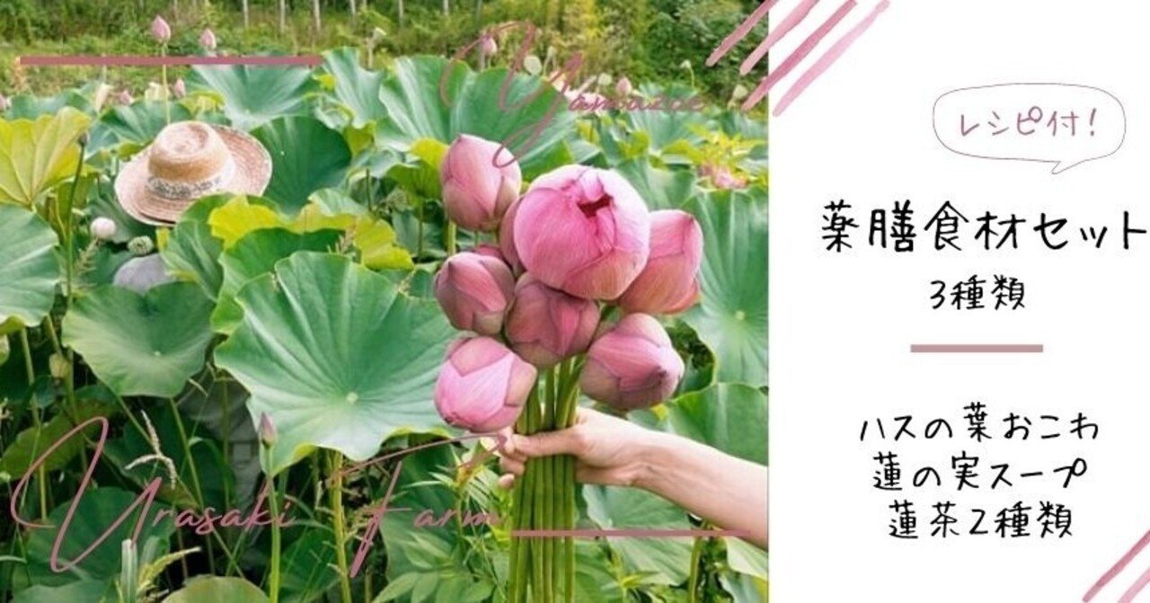 奈良県山添村にて蓮の葉とお花を収穫してきました 里山文庫 泊まれる薬膳教室 奈良 Note
